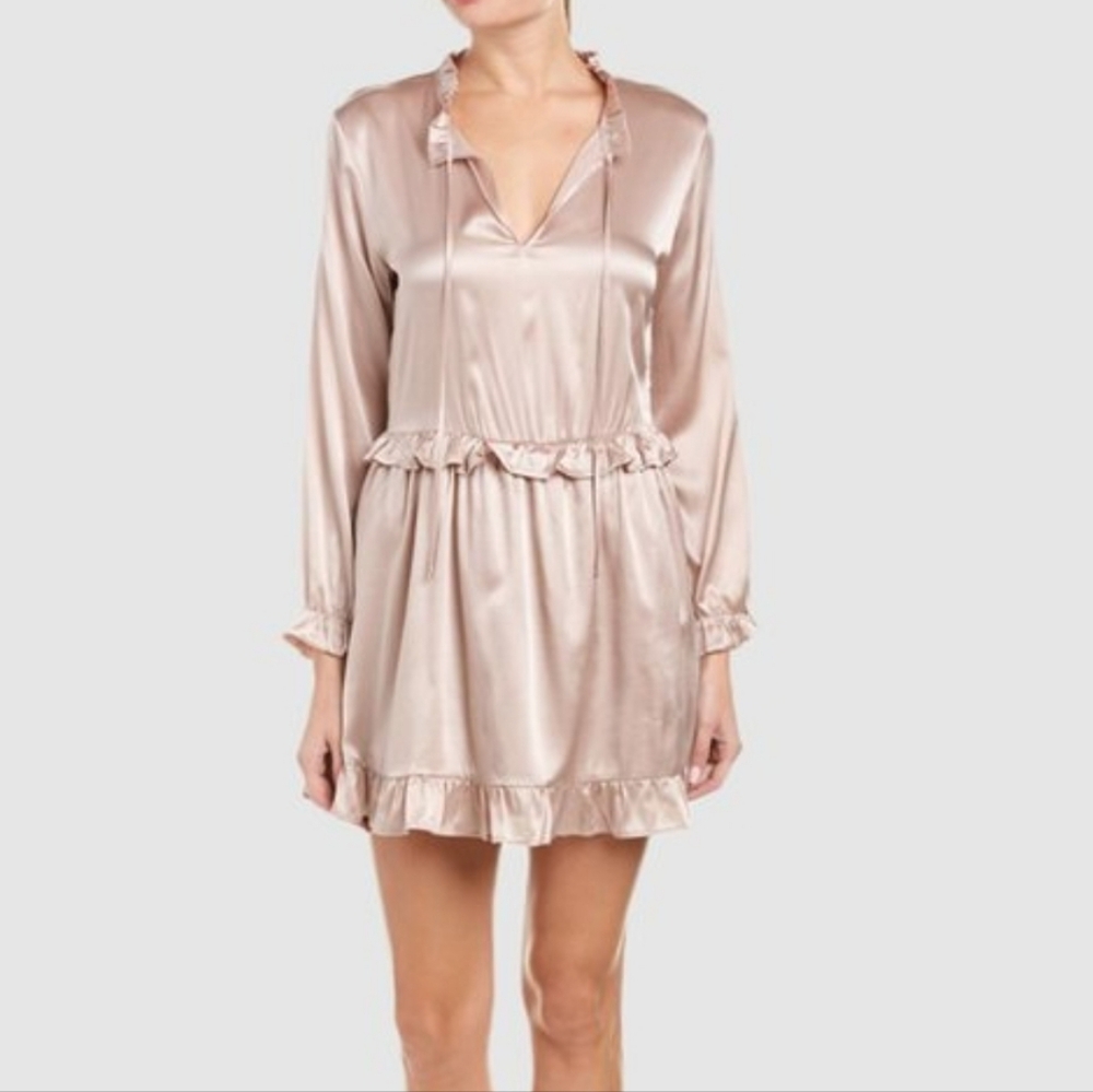 Anine Bing Taupe pink  Ruffle Silk Dress Size Small